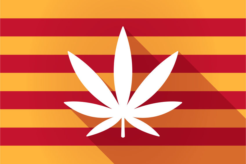 Long shadow Catalonia vector flag with a marijuana leaf
